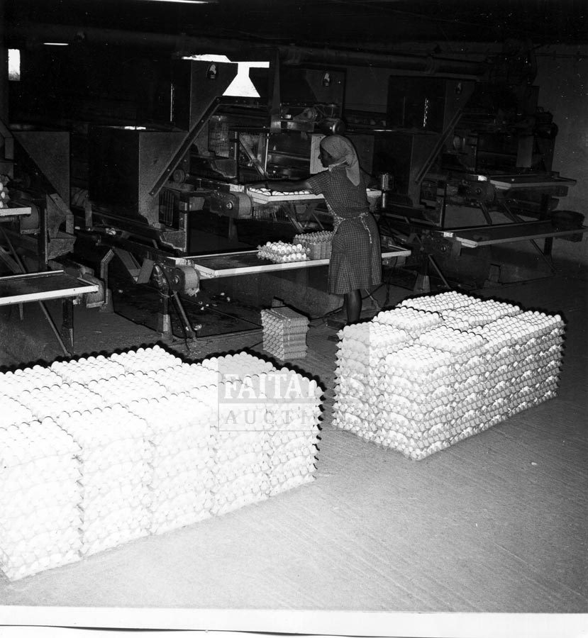 78632426_10221228677729232_5128668508837642240_n