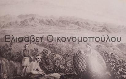 94427006_2648259278833521_4590672659003473920_n