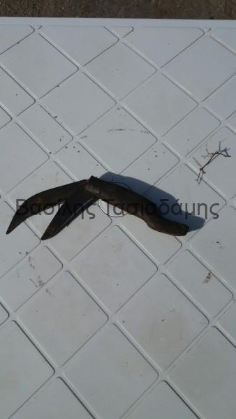 IMG-9d41fd0c366f3d248313ee8352314e8c-V