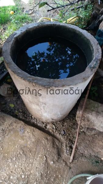 IMG-b036c886fe35f43c6e4f549fcc87abf1-V